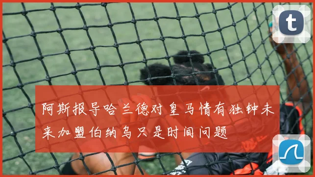 阿斯报导哈兰德对皇马情有独钟未来加盟伯纳乌只是时间问题