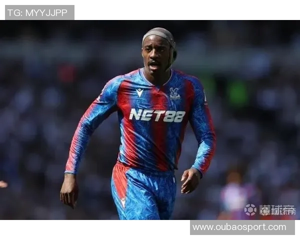 前水晶宫老板遭9700万美元索赔多家俱乐部集团陷入财务危机 前水晶宫老板遭9700万美元索赔多家俱乐部集团陷入财务危机